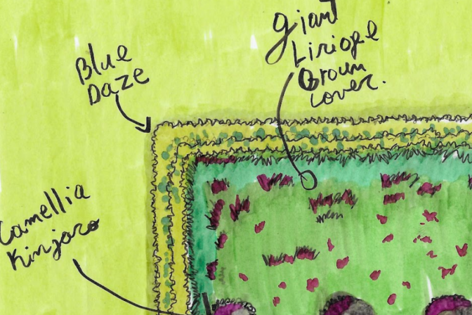 How to Plan a Landscape Transformation From Start to Finish